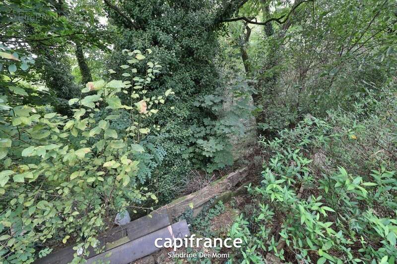 Maison à FRANCHEVILLE