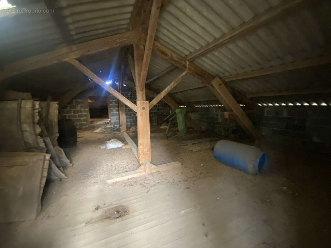 Terrain à SAINT-JUST-SAINT-RAMBERT