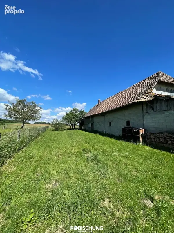 TRAUBACH LE BAS : Maison alsacienne avec dépendance - photo 1