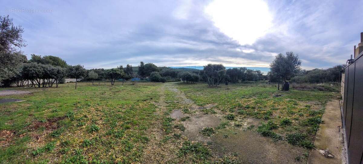 Maison à BALARUC-LE-VIEUX