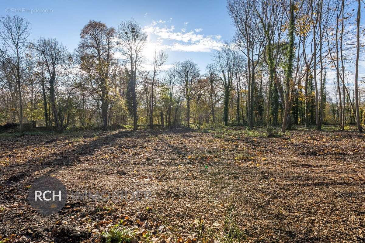Terrain à MONTFORT-L&#039;AMAURY