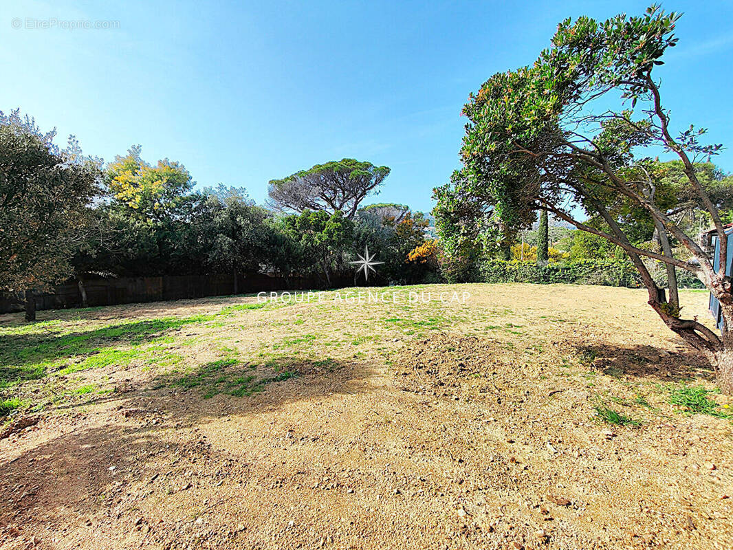 Terrain à LES ISSAMBRES