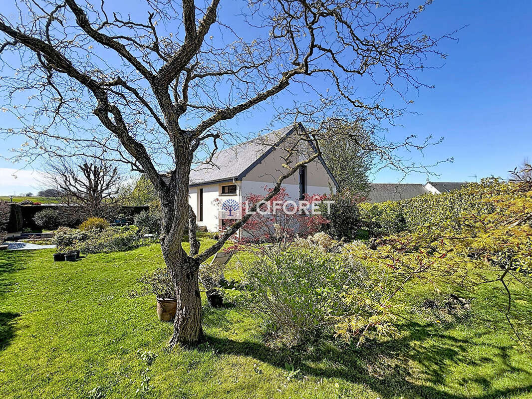 Maison à CRIQUETOT-L'ESNEVAL