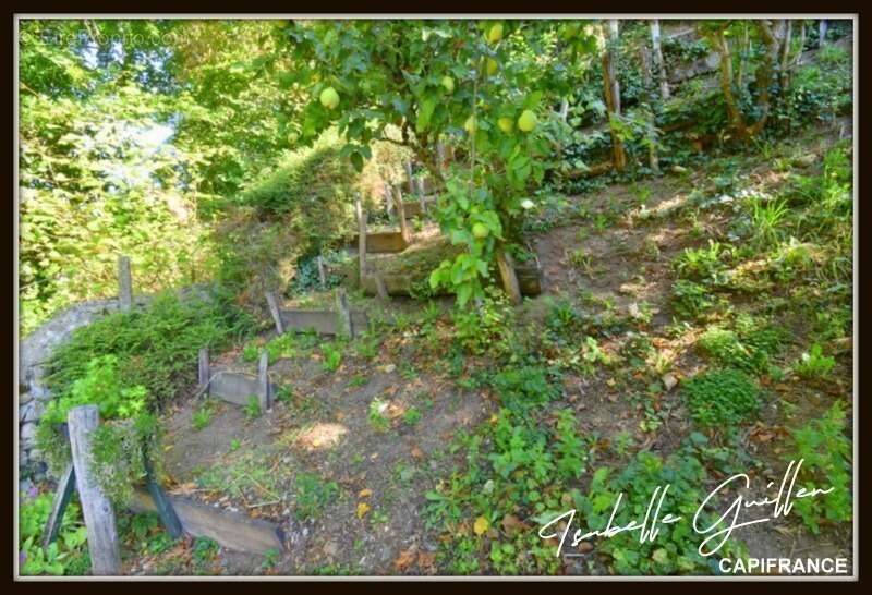 Maison à CHATEAUMEILLANT