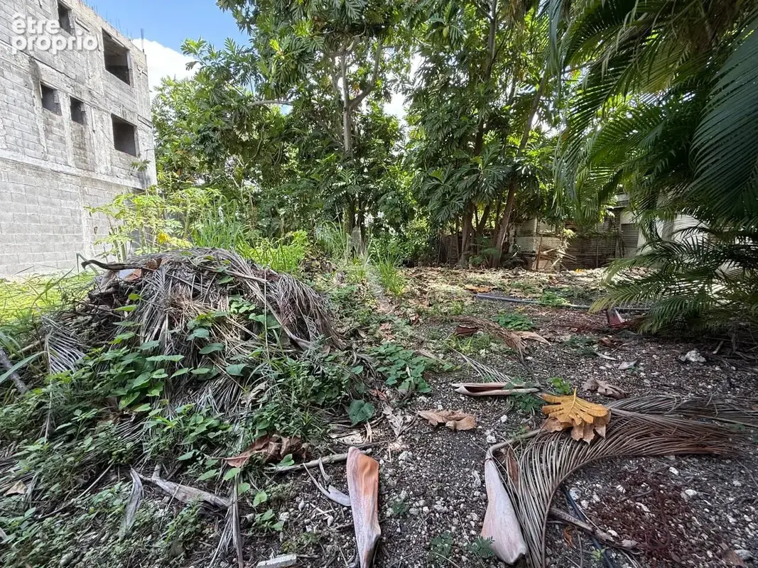 Terrain de 220 m² en plein coeur du bourg de SAINTE-ANNE - photo 3