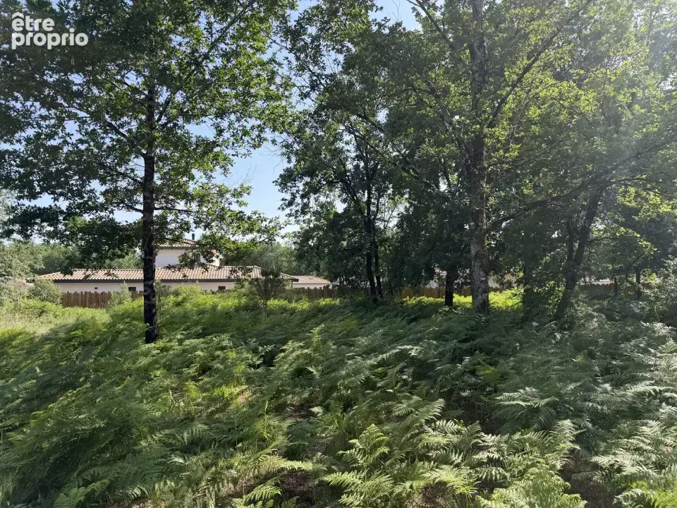 Terrain 1 100 m² à vendre à Saint-Aubin-De-Medoc (33160) - photo 4