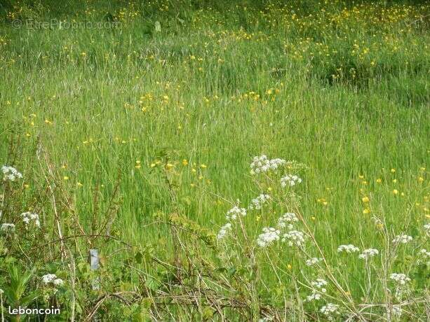 Terrain à BOURGNEUF-EN-RETZ