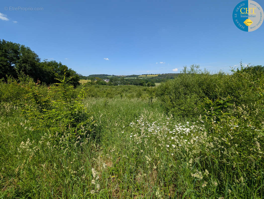 Terrain à BEIGNON