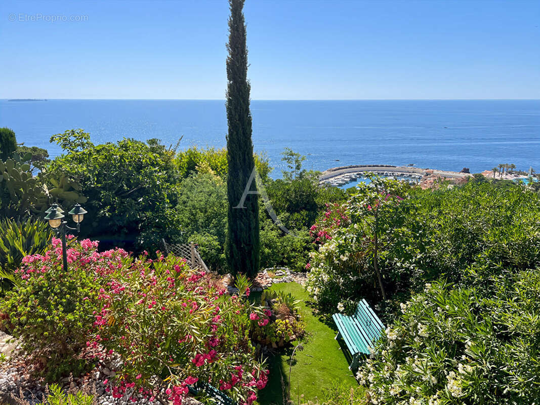 Appartement à THEOULE-SUR-MER