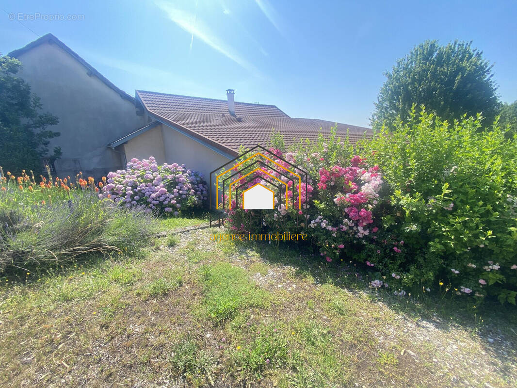 Maison à LA TOUR-DU-PIN