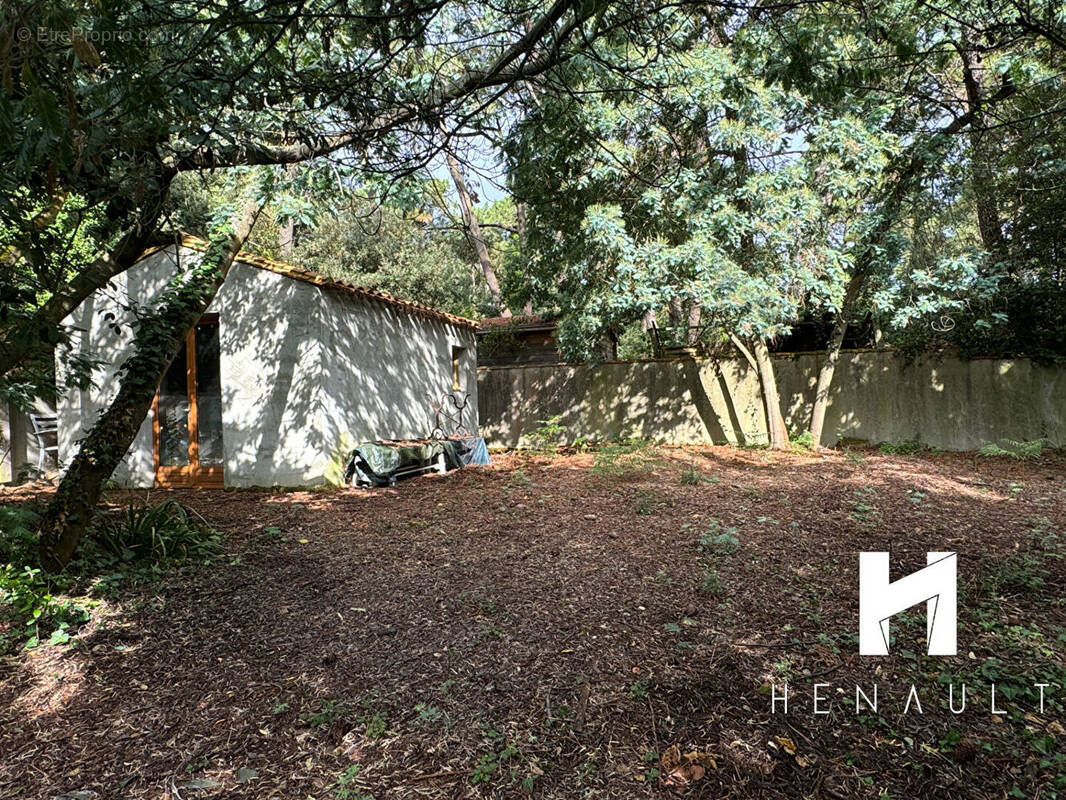 Terrain à RIVEDOUX-PLAGE