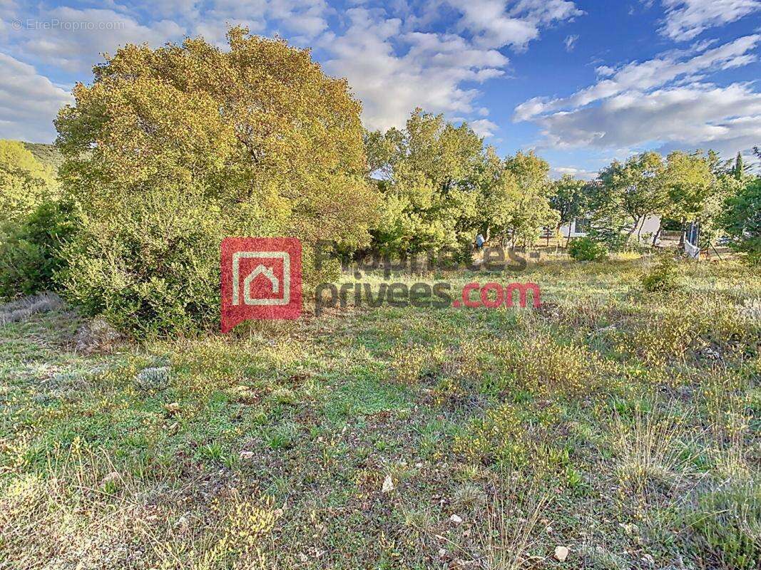 Terrain  2000 m2 PC accorde - photo 2