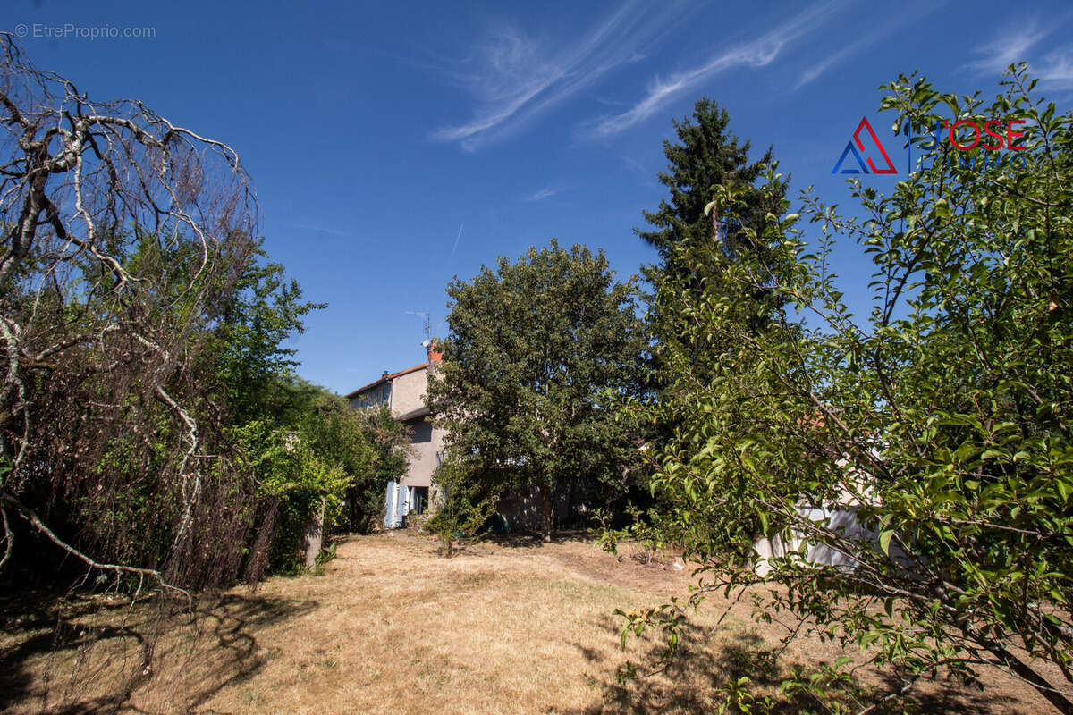 Grand jardin arboré