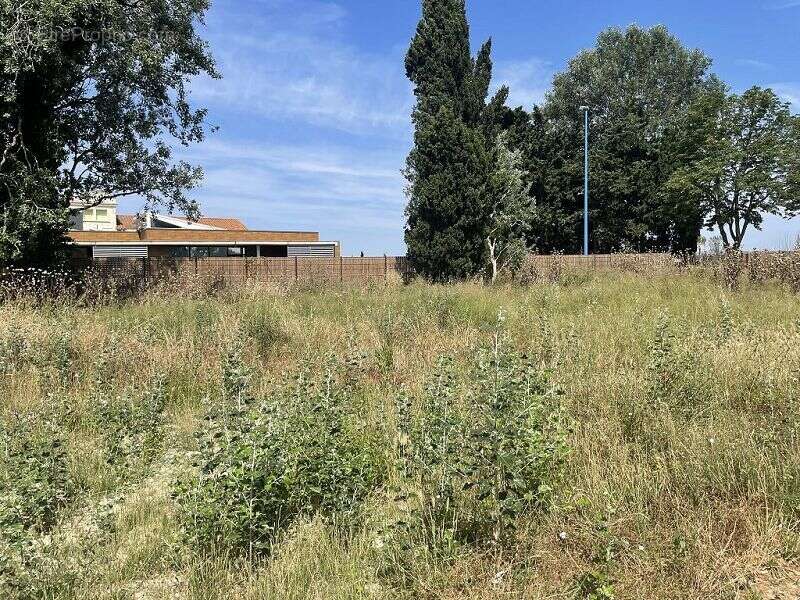Terrain 2067 m² à Sainte-Marie  - photo 2