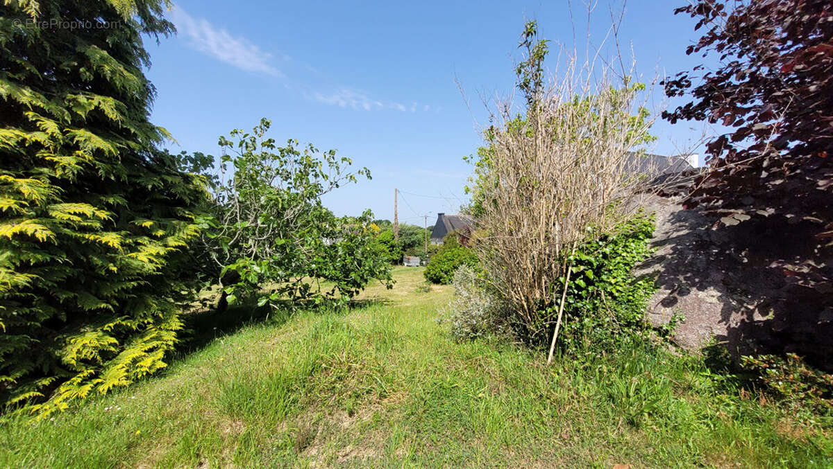 EXCLUSIVITÉ AGENCE DU QUAI - Terrain Trégunc - Centre Ville -  990 m2 - photo 5