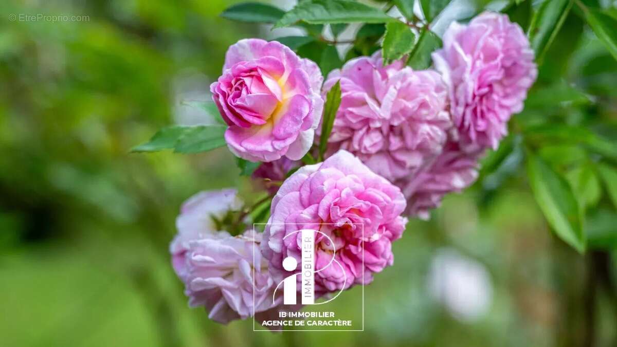 Maison à FONTAINEBLEAU