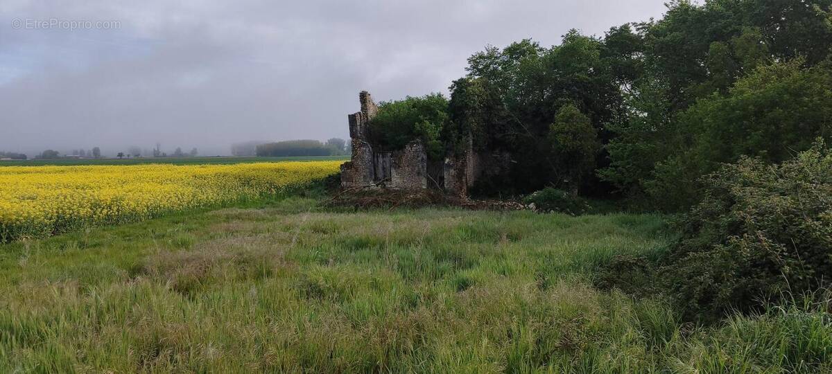 Photo 1 - Terrain à VEZIERES