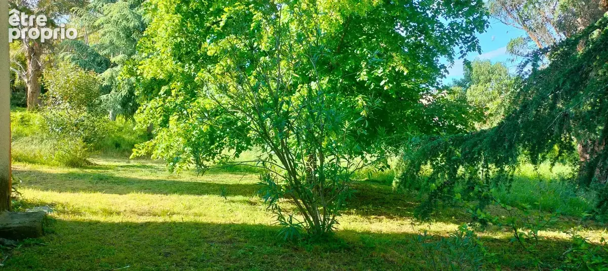 A vendre Terrain de 2200 m2, plat, arboré et clôturé à SAN NICOLAO (HAUTE CORSE) - photo 9