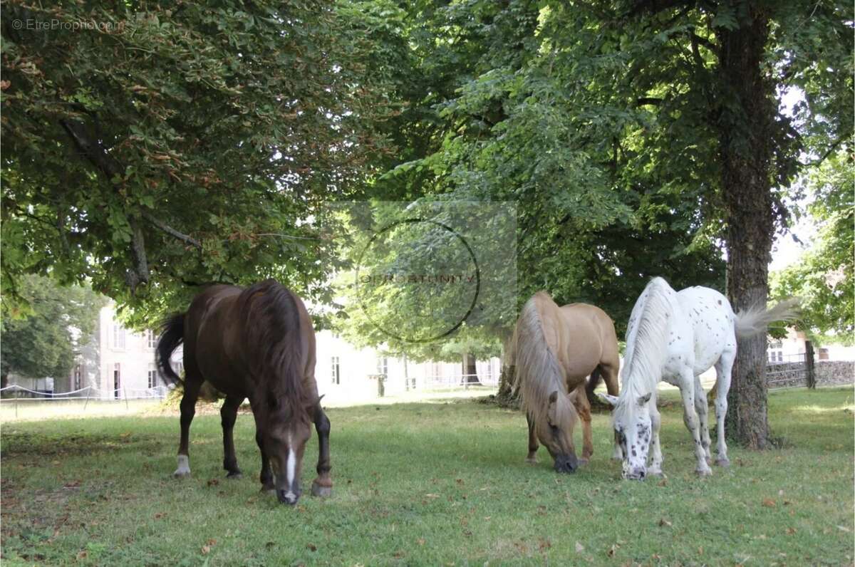 Maison à L&#039;ISLE-SUR-SEREIN