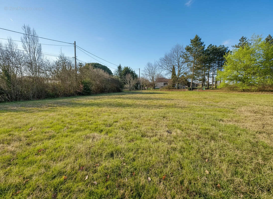 Terrain à MONTBERON