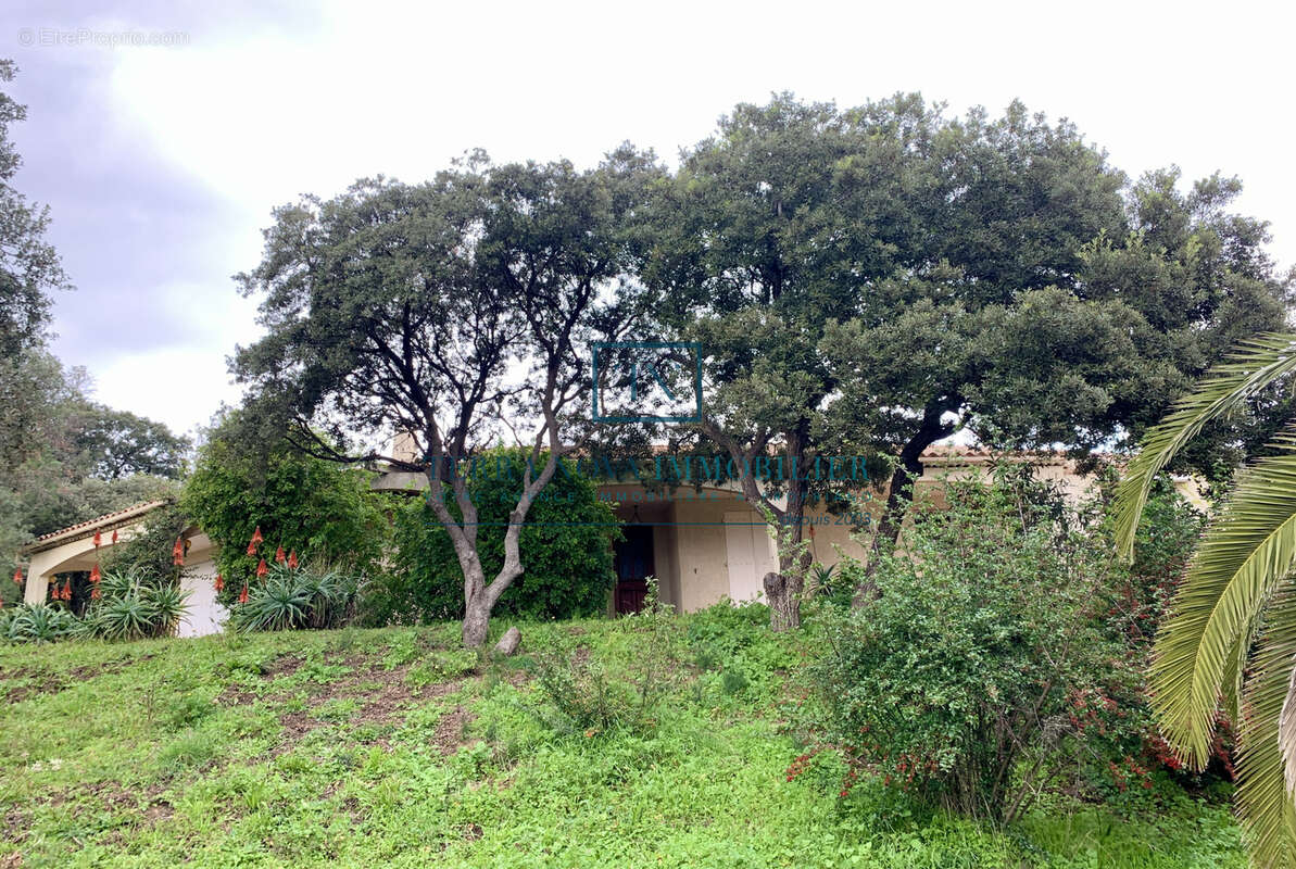 Villa plain-pied au coeur du Golfe du Valinco - photo 15