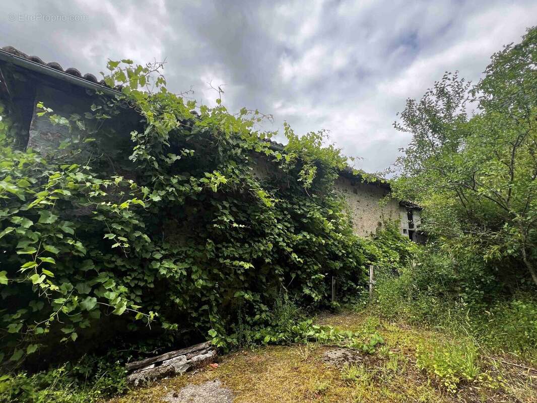 Maison à CHABANAIS