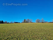 Terrain à LA LONGEVILLE