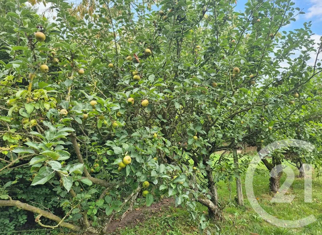 Maison à DELINCOURT