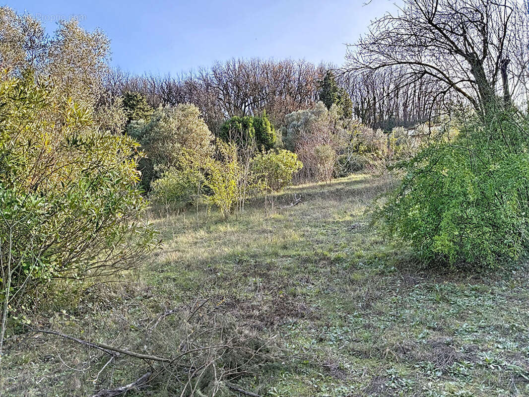 Terrain à CHATEAUNEUF-GRASSE