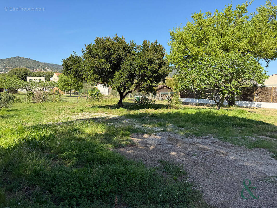 Terrain à BORMES-LES-MIMOSAS
