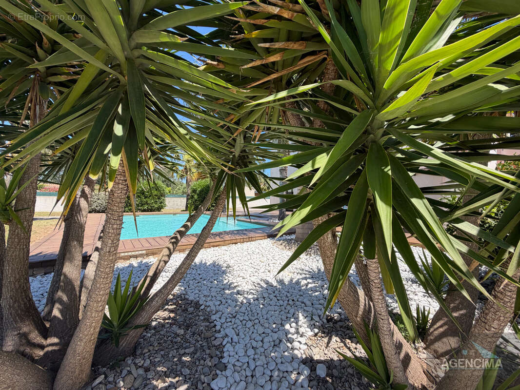 Maison à MARSEILLAN