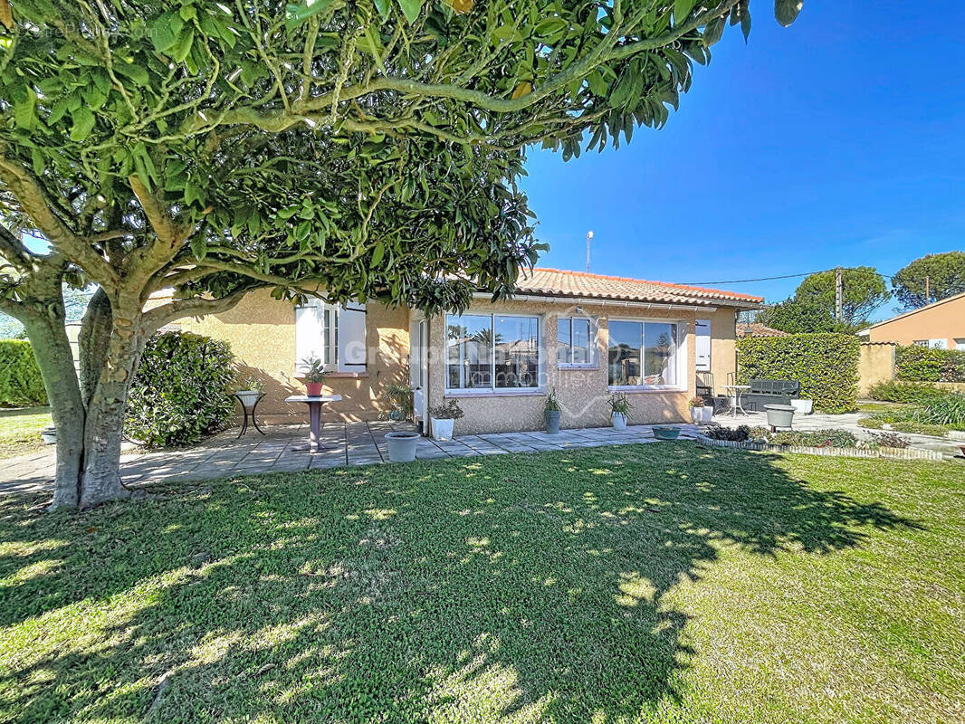 Maison à BOLLENE