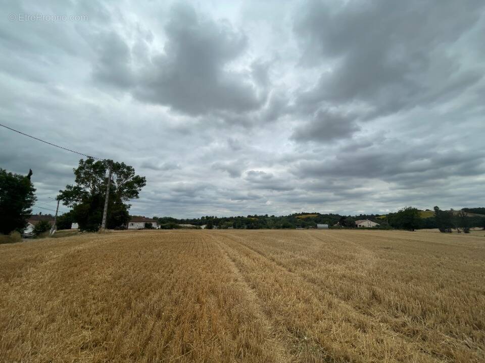 Terrain à VILLENOUVELLE