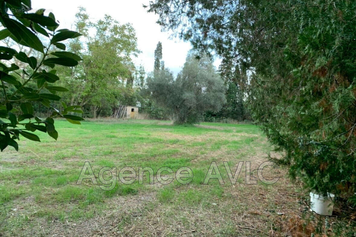 Maison 104 m² à Arles  - photo 3