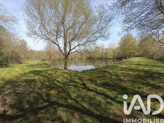 Photo 2 - Terrain à CHINON