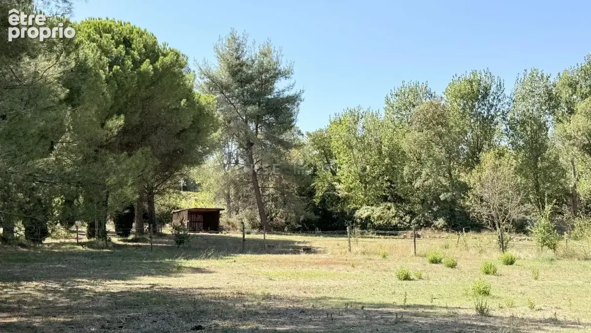 Bassin de Thau - charmante propriété sur 4,5 hectares - photo 8