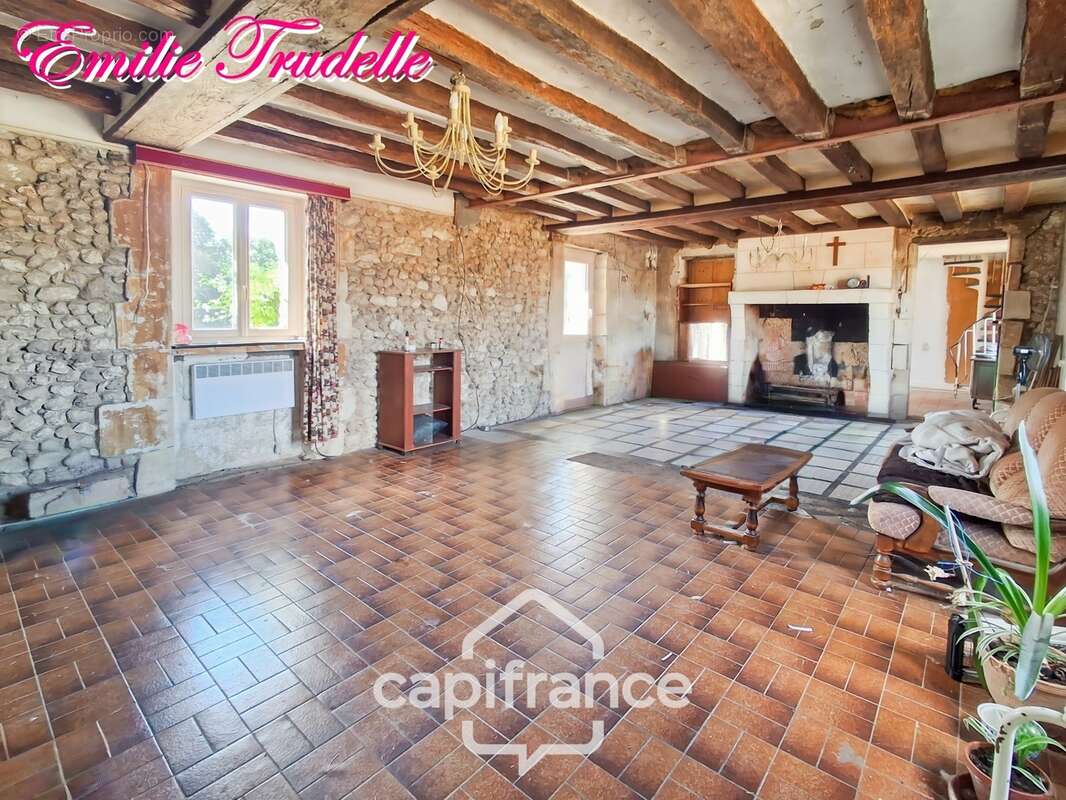 Maison à vendre 4 pièces LHOMME (72)  Propriété de caractère sur plus de 6 hectares en bord du Loir - photo 7