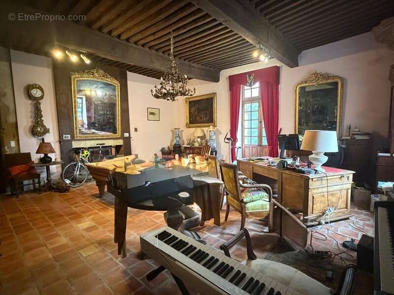 MARCIAC(32): ancienne SEIGNEURIE avec BEAU CHATEAU XIV sur 3,5ha, cachée, au bout du chemin, sans voisin, en campagne, 500m2 hab - photo 4