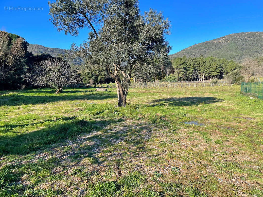 Maison à PLAN-DE-LA-TOUR