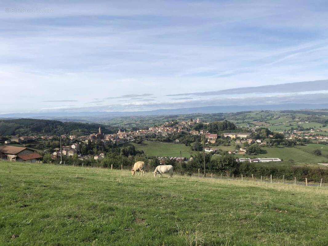 Photo 1 - Terrain à MARNAND