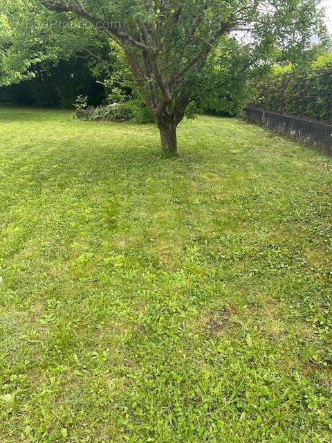 Terrain à AULNAY-SOUS-BOIS