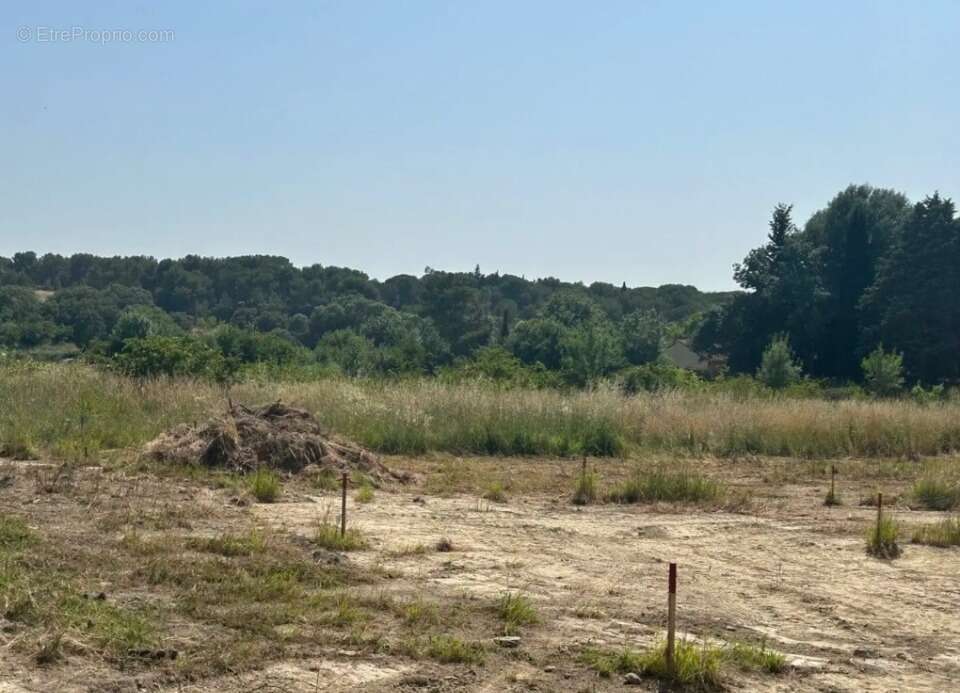 Terrain à AUBAIS