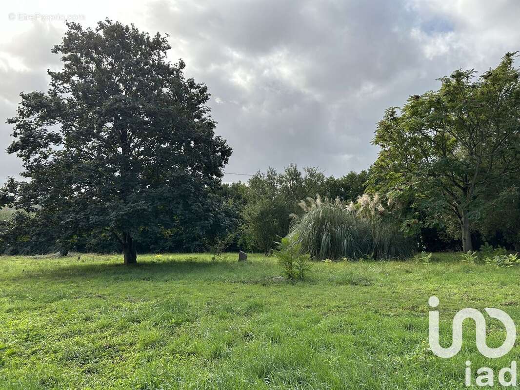 Photo 4 - Maison à TIERCE