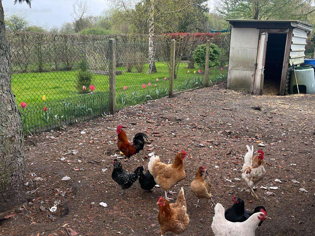 Maison à GOURNAY-EN-BRAY