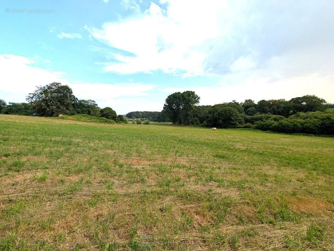 Propriété sur 27 hectares, maison 179 m2, bâtiments de 700 m2 salle de réception et 600 m2 garage - photo 3