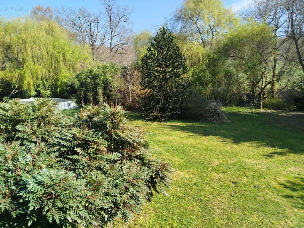 Maison 207 m² à Bosmie-L'aiguille  - photo 7