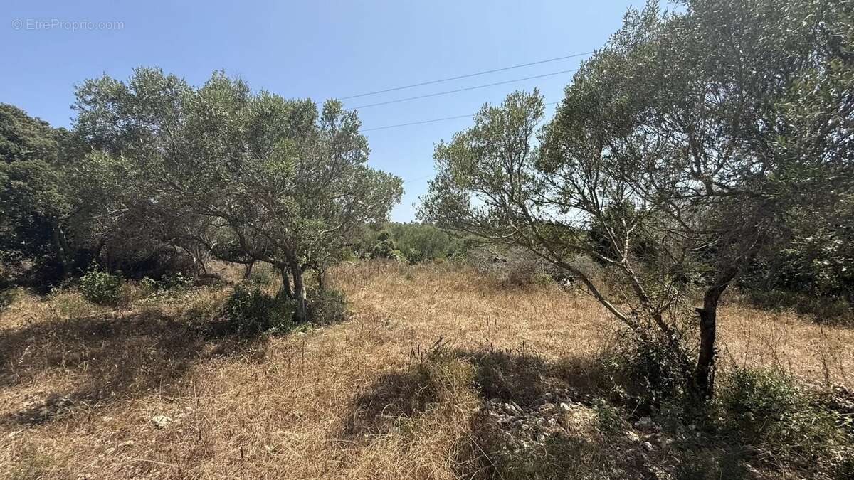 Terrain à BONIFACIO