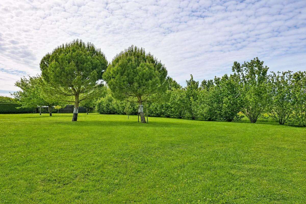 Maison d'exception 7 pièces 220 m² à Marcey-les-Grèves - photo 26