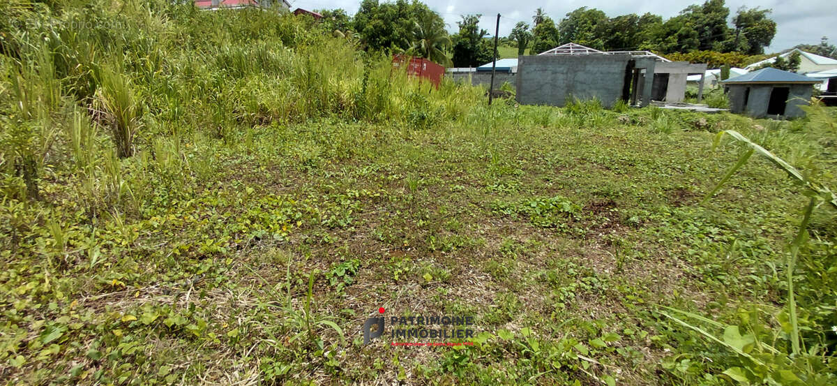 Terrain à GOYAVE