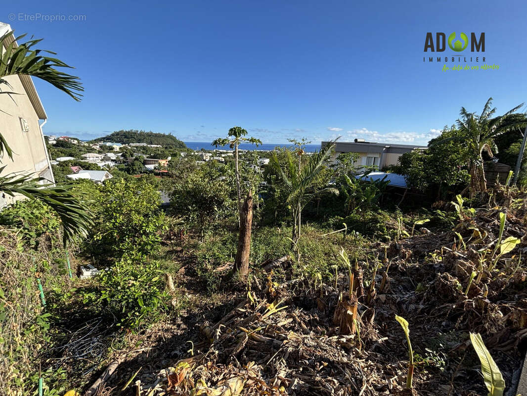 Terrain à SAINT-JOSEPH